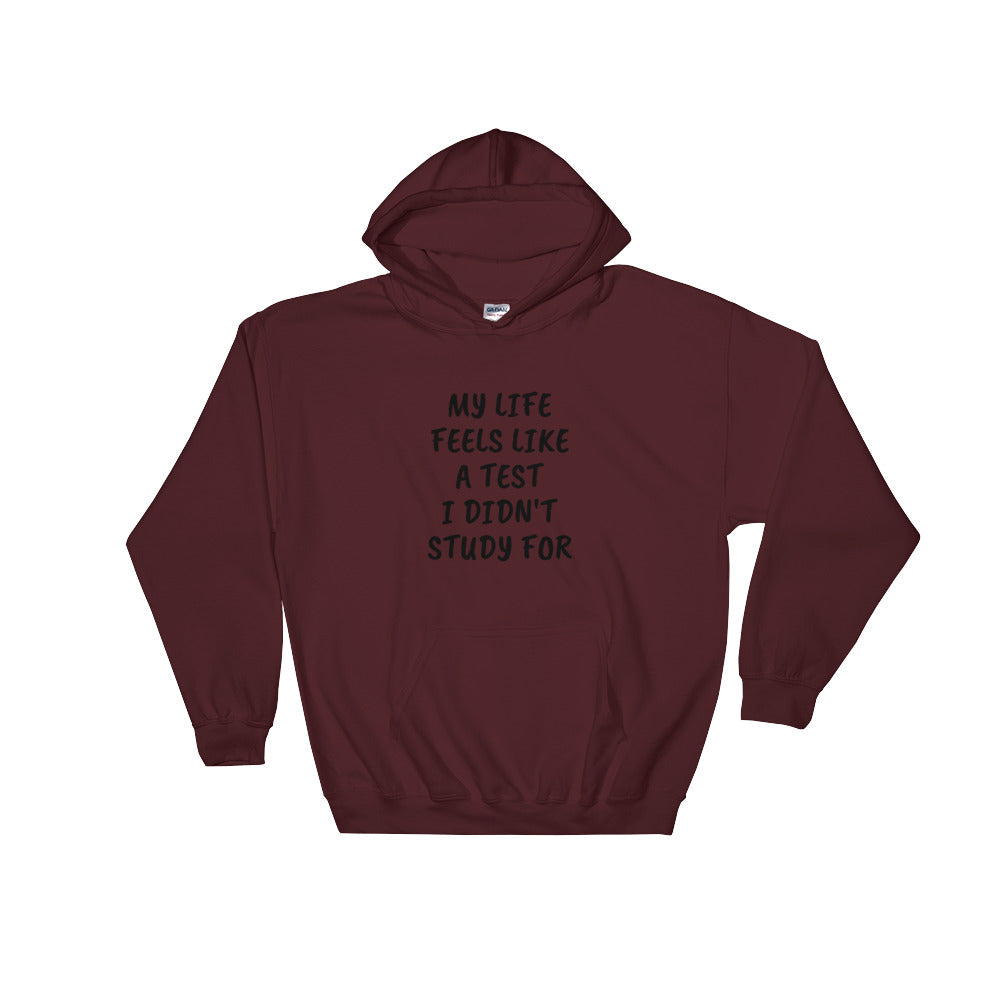 My life is a test Hooded Sweatshirt